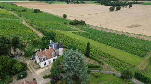 an aerial view of a house in a field at Domaine Lainault - Chambre Jasnières in Lhomme