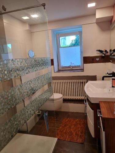 a bathroom with a shower and a toilet and a sink at Seestern in Rerik