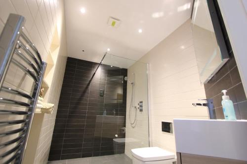 a bathroom with a shower and a toilet and a sink at The Lawns Spa Apartment in Holt