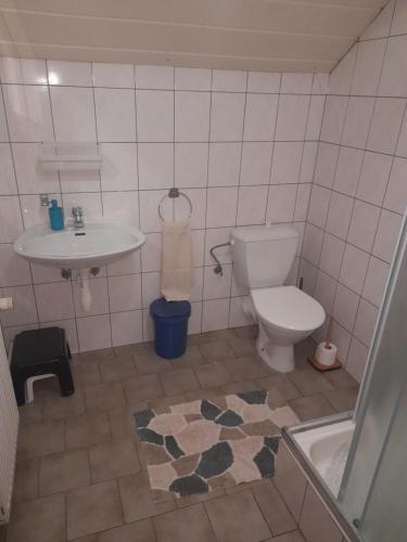 a bathroom with a toilet and a sink at Penzion Krušnohorka in Tatrovice