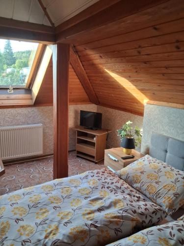 a bedroom with a bed and a tv in a attic at Penzion Krušnohorka in Tatrovice