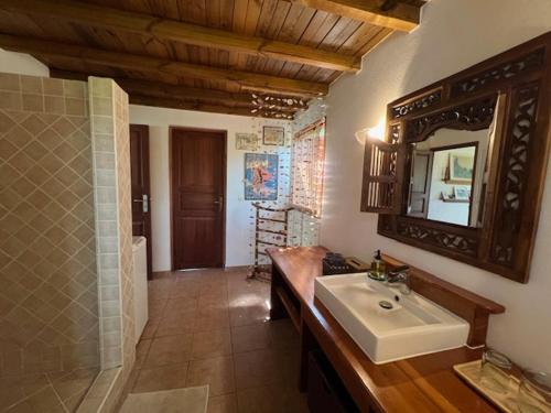 a bathroom with a sink and a mirror at villa Willisa in Bouillante