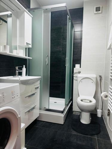 a bathroom with a toilet and a glass shower at Apartman Lala in Sarajevo
