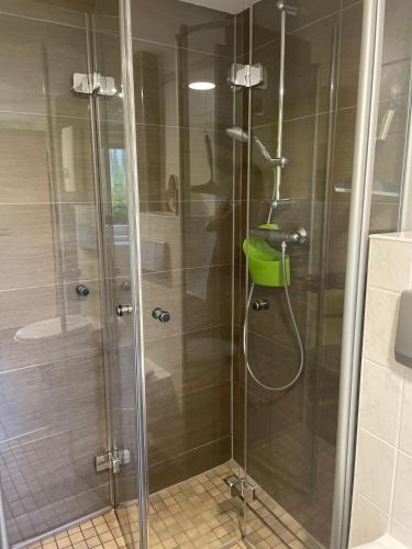 a shower with a glass door in a bathroom at Am Holundergrund in Kurort Gohrisch