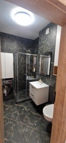 a bathroom with a toilet and a sink and a shower at Forest Nest - Livezeni in Livezeni
