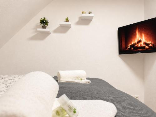 a living room with a fireplace and a bed at Rheinview Sunset in Urbar in Urbar