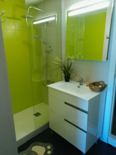 a bathroom with a sink and a shower and a mirror at Calella Flats & More in Calella