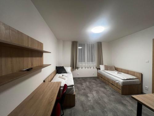 a room with a couch and a bed in it at Bi Apartments in KoÅ¡ickÃ© KÃºpele