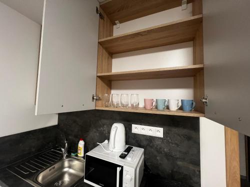 a kitchen with a sink and a microwave at Bi Apartments in KoÅ¡ickÃ© KÃºpele