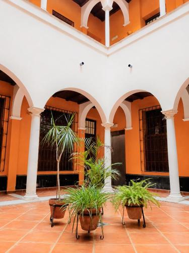 Feria Palace Apartment