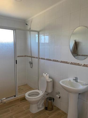 a bathroom with a toilet and a sink and a shower at Panul Ovalle in Panulcillo