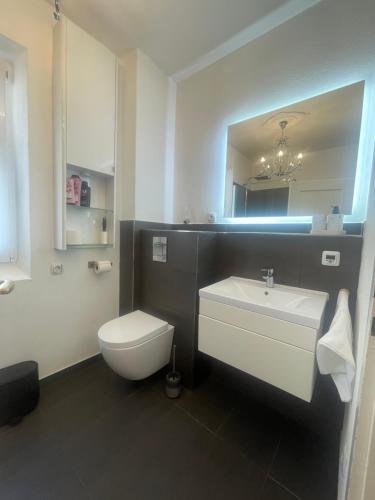 a bathroom with a toilet and a sink and a mirror at Historic Charm Apartment Bayreuth in Bayreuth