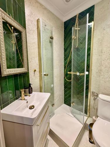 a bathroom with a shower and a sink and a toilet at Apartament Verde Stare Miasto in Chełm