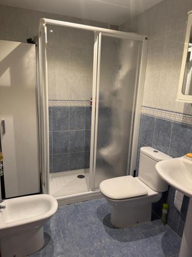 a bathroom with a shower and a toilet and a sink at La escapada in Felechosa