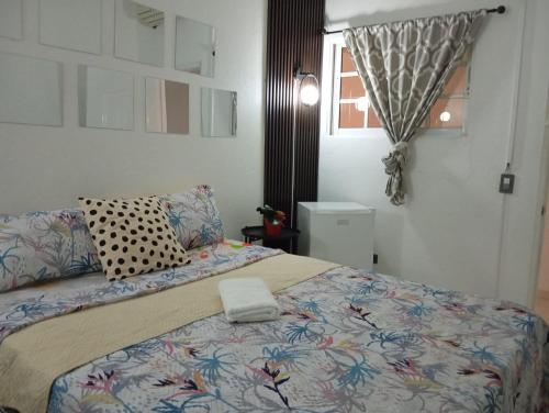 a bedroom with a bed with a blanket and pillows at Twin Bed Room-King Room Zona Colonial in Santo Domingo