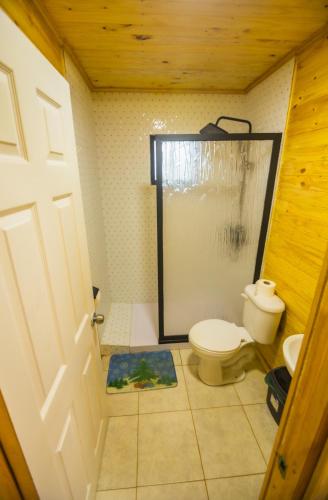 a bathroom with a toilet and a shower at Cabañas Isla del Mar in Constitución