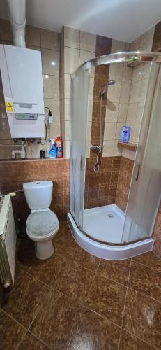 a bathroom with a shower and a toilet at Apartament WLA in Barcice