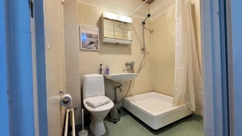 a bathroom with a sink and a toilet and a shower at Scandinavian Dream Guesthouse and Apartments in Rovaniemi