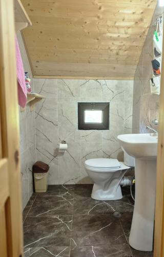 a bathroom with a toilet and a sink at Cozy Mountain Chalet Bakhmaro in Chʼkhakoura