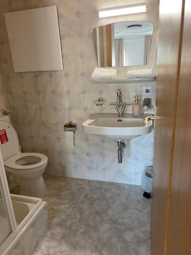 a bathroom with a sink and a toilet at Goldener Adler 