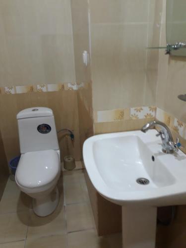 a bathroom with a white toilet and a sink at Hotel Noy in Goris