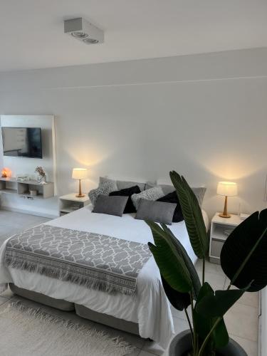 a white bedroom with a bed and a plant at Monoambiente Céntrico único in Puerto Madryn