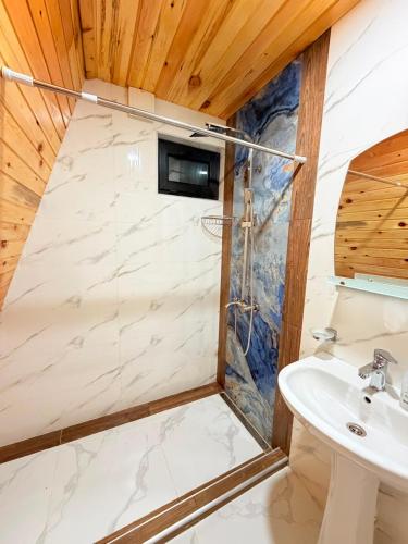 a bathroom with a shower and a sink at Alpase Resort in Didi Khalebi
