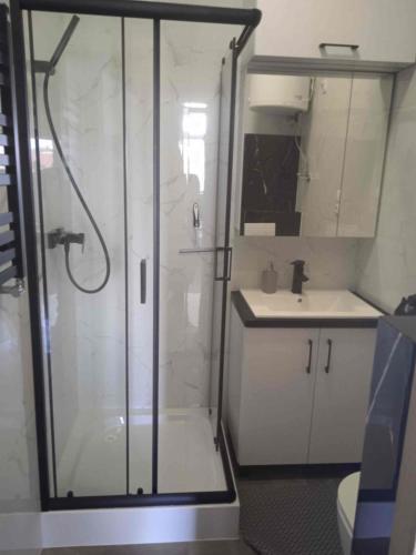 a bathroom with a shower and a sink at Lunar Apartament in Augustów