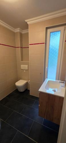 a bathroom with a toilet and a sink at Lavendelhaus am Müritzsee - direkt am Wasser in Buchholz