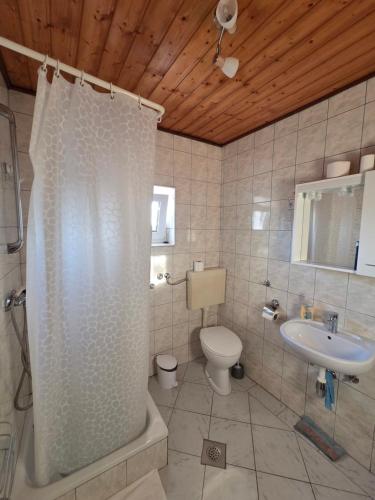 a bathroom with a shower and a toilet and a sink at Apartment Nina in Drežnik Grad