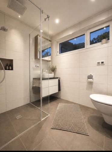 a bathroom with a shower and a sink and a toilet at Haus Antonia in Zams