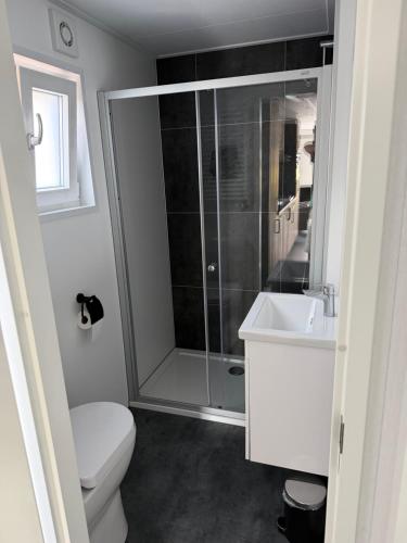 a bathroom with a shower and a toilet and a sink at Luxe Chalet San Marco in Giethoorn