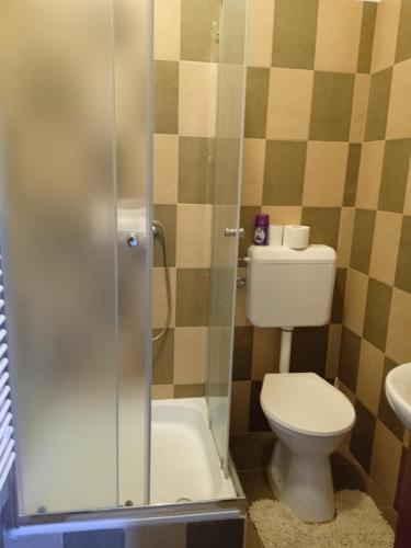 a bathroom with a toilet and a shower at Nimród vendégház in Mőcsény