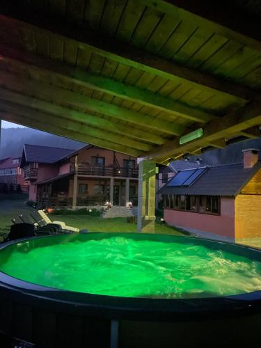 a large pool with green water in a yard at Casa Mona in Arieşeni