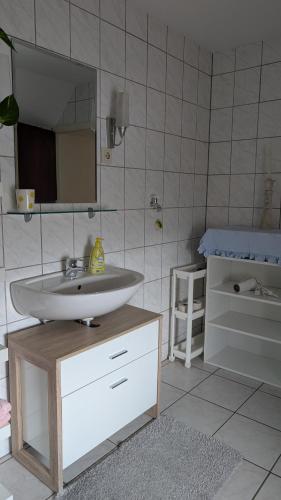 a bathroom with a sink and a mirror at Waldesruh in Pirmasens