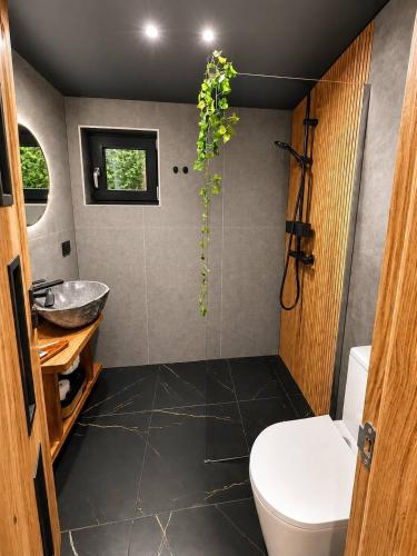 a bathroom with a toilet and a sink at Wild Crib Avrig in Avrig