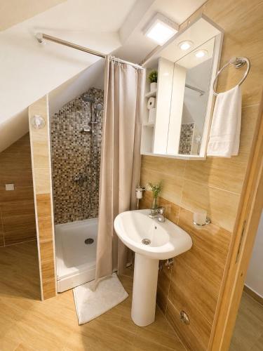 a small bathroom with a sink and a shower at Apartments Radović in Kolašin