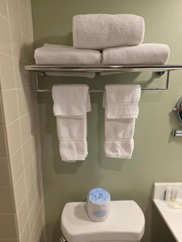 a bathroom with a toilet and towels on a shelf at Radisson Hotel Detroit Metro Airport in Romulus