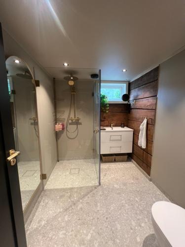 a bathroom with a shower and a sink at The Dream Factory in Andøya