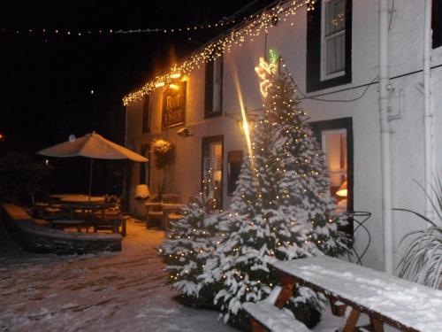 a christmas tree in front of a building at The Boot and Shoe in Greystoke