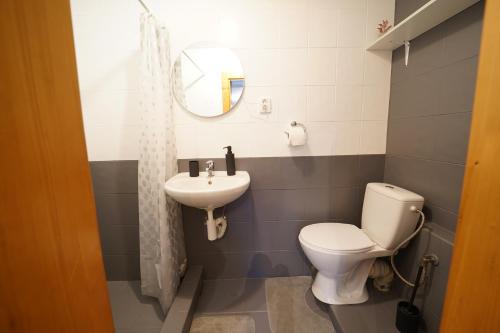 a bathroom with a toilet and a sink at Studio v Aldrovském Triu in Vítkovice