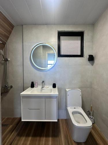 a bathroom with a toilet and a sink and a mirror at Mravaldzali twins in Oni
