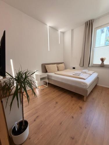 a white room with a bed and a potted plant at DLG-STAYS Iserlohn in Iserlohn
