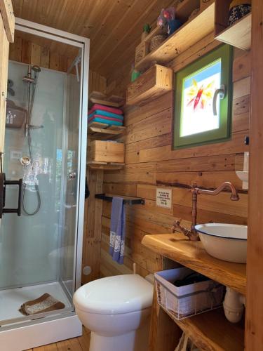 a bathroom with a shower and a toilet and a television at Roulotte de Charme in Bréconchaux