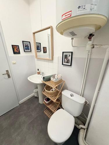 a bathroom with a toilet and a sink at Studio le «Victor Hugo» , hyper centre ville in Vienne