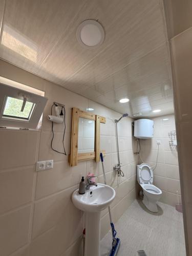 a bathroom with a sink and a toilet at Tebdi Qor, Warm Home in Mestia