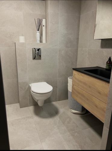 a bathroom with a toilet and a sink at The Eikorn House in Skien