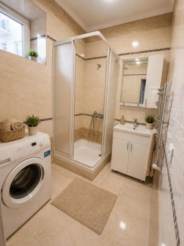 a bathroom with a washing machine and a shower at Vila LOLO in Chişinău