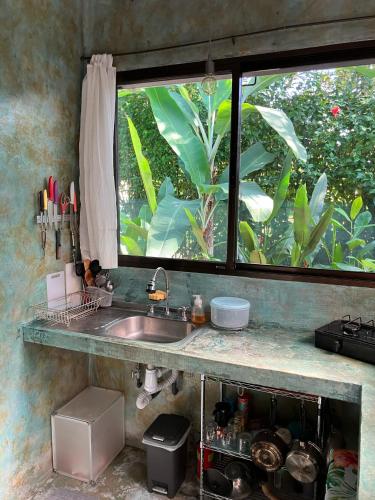 a kitchen with a sink and a large window at Green TinyHome 1 in Uvita