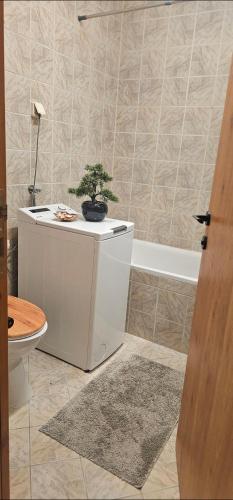 a bathroom with a potted plant on a counter at Center Lux Apartment Marijana in Novi Sad